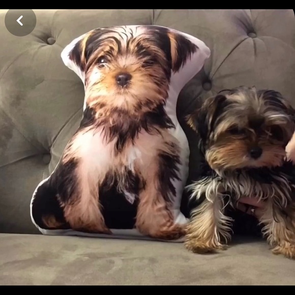 Custom Pet Pillow - Picture 4 of 7